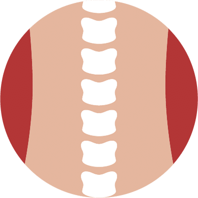 Spine Icon