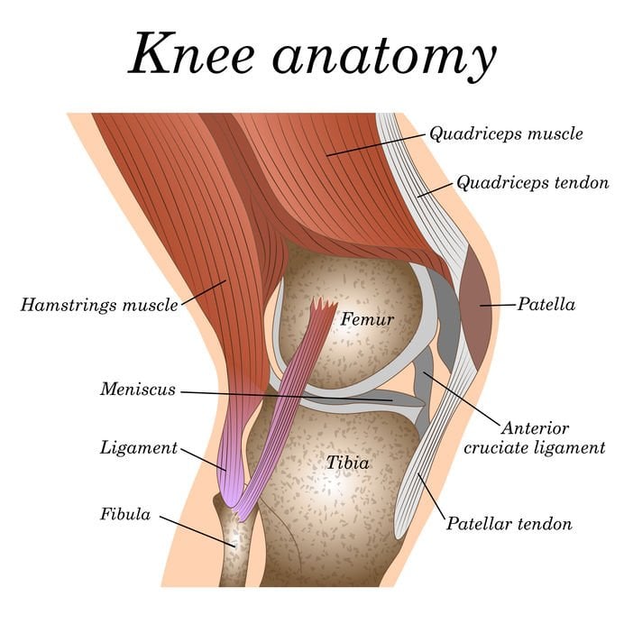 Osteoarthritis knee pain versus a healthy knee