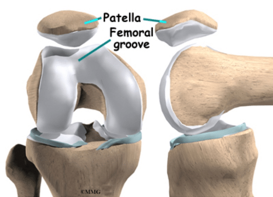 Patella femoral groove diagram