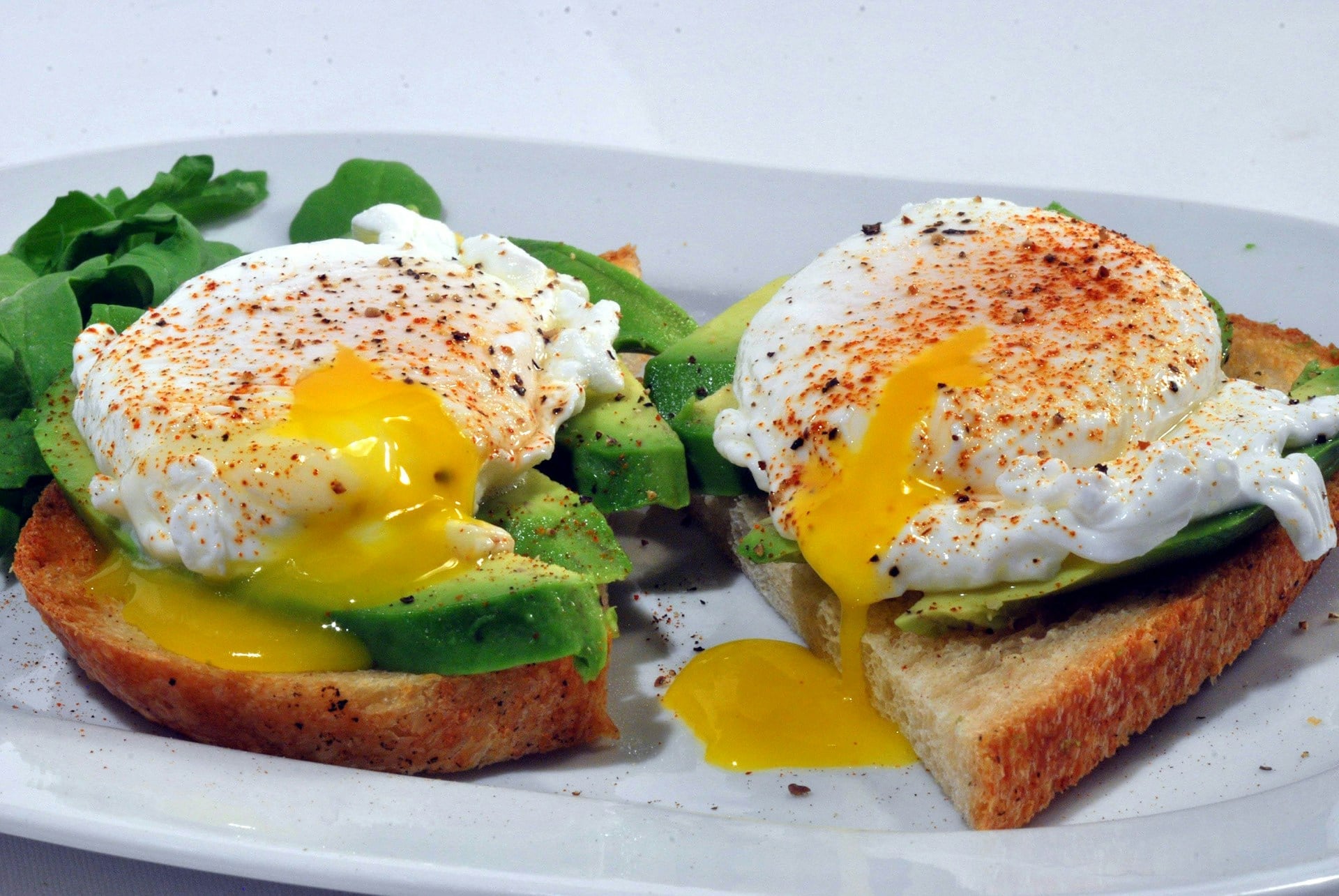 avocado toast avocado toast