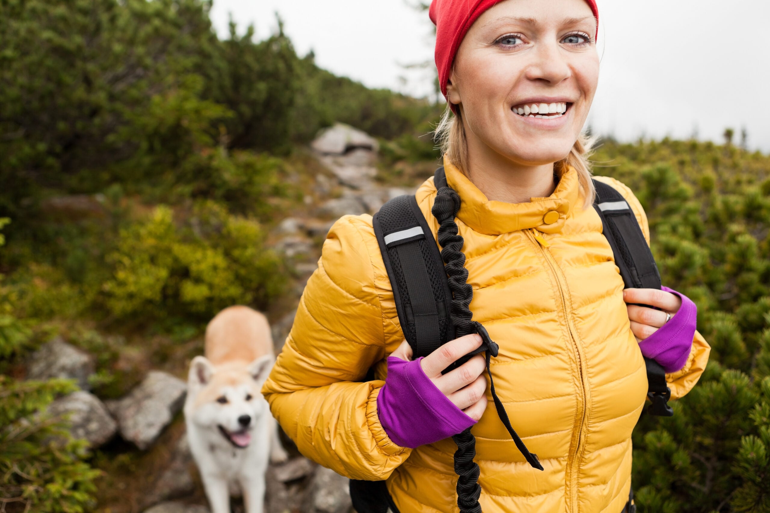 woman hiking in mountains with akita dog|young active girls hiking in greater caucasus mountains